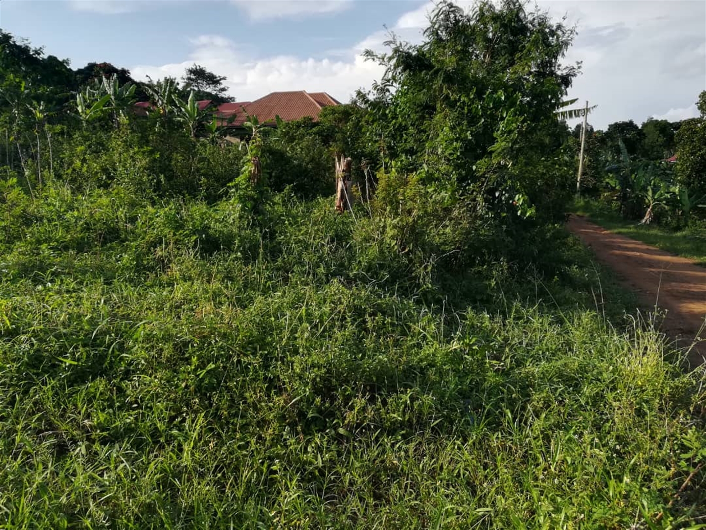 Residential Land for sale in Nakabago Mukono