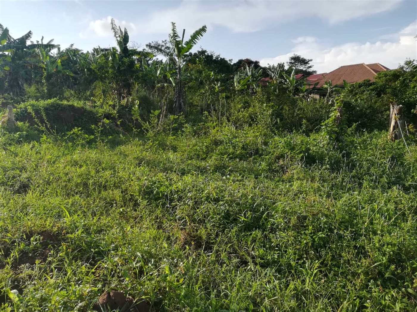 Residential Land for sale in Nakabago Mukono