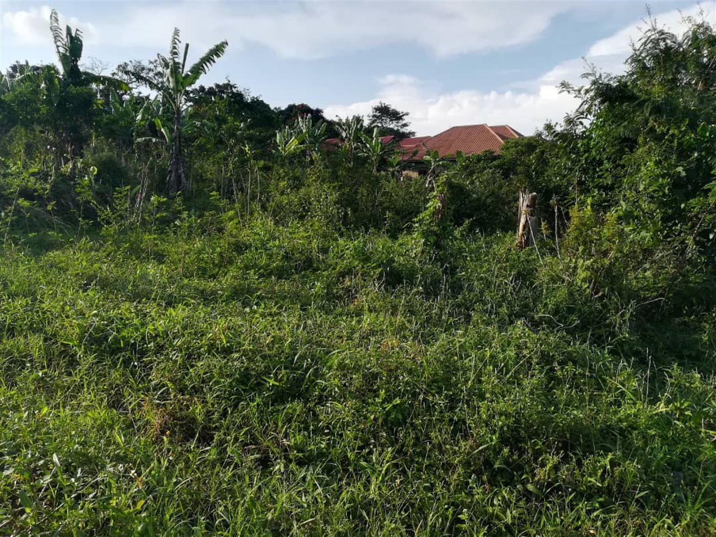 Residential Land for sale in Nakabago Mukono