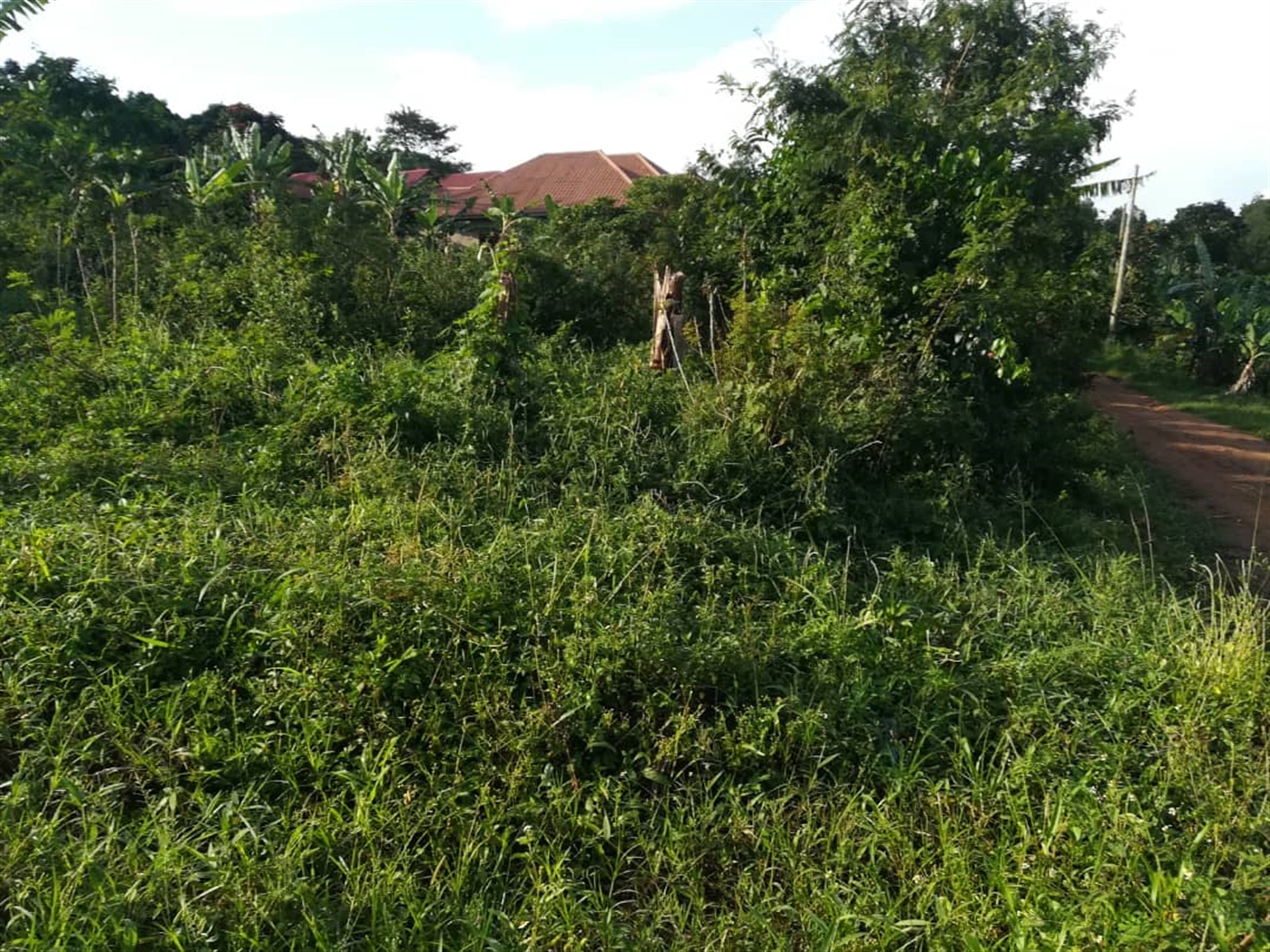 Residential Land for sale in Nakabago Mukono