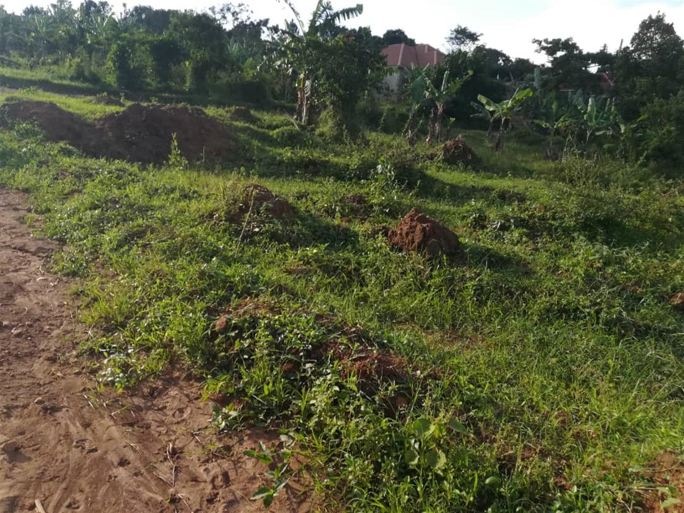 Residential Land for sale in Nakabago Mukono