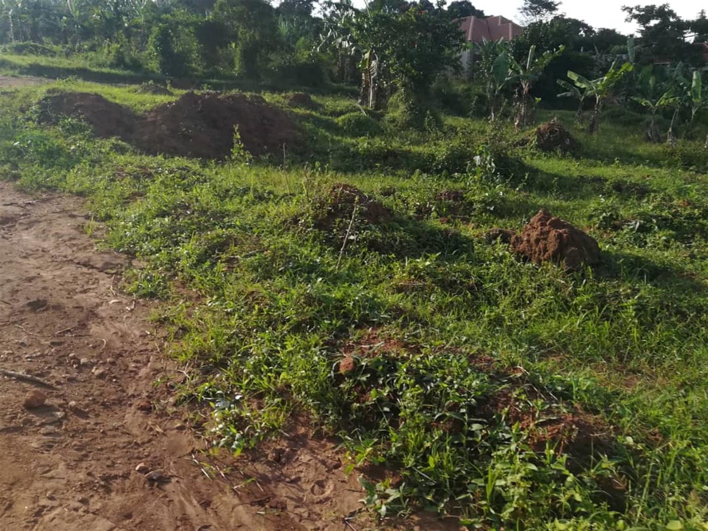 Residential Land for sale in Nakabago Mukono