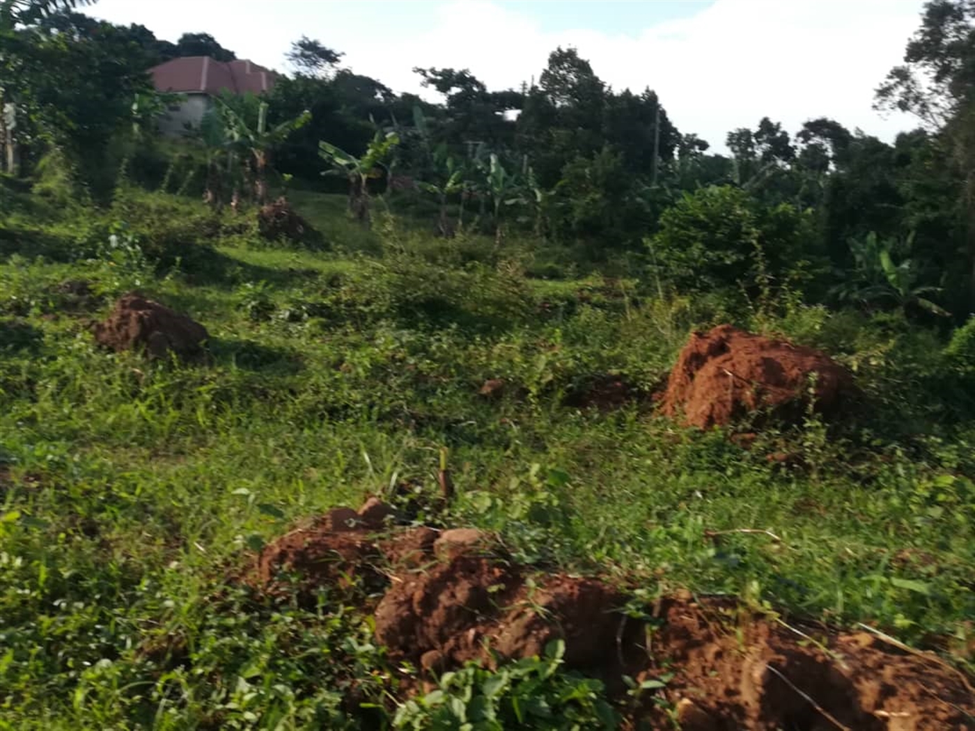 Residential Land for sale in Nakabago Mukono