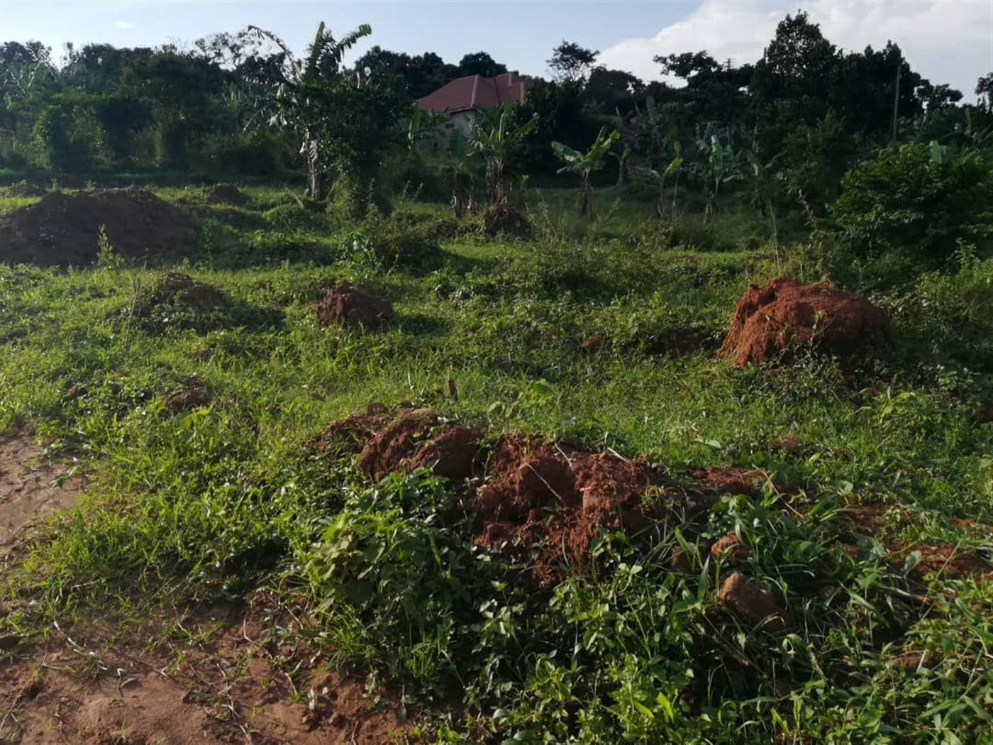 Residential Land for sale in Nakabago Mukono