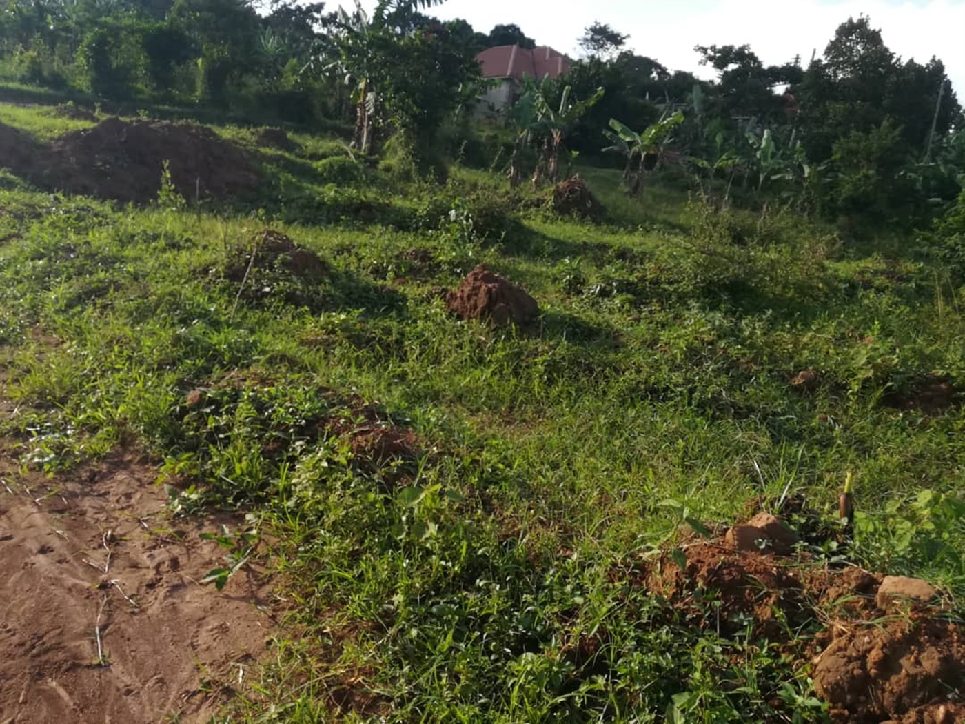 Residential Land for sale in Nakabago Mukono