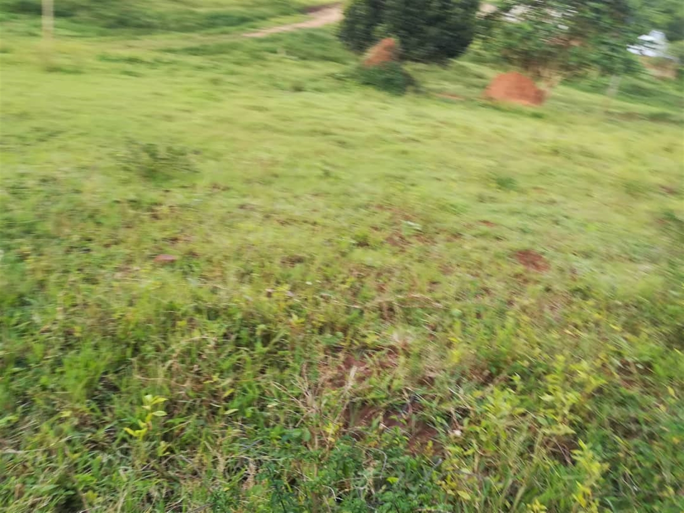 Residential Land for sale in Nakabago Mukono