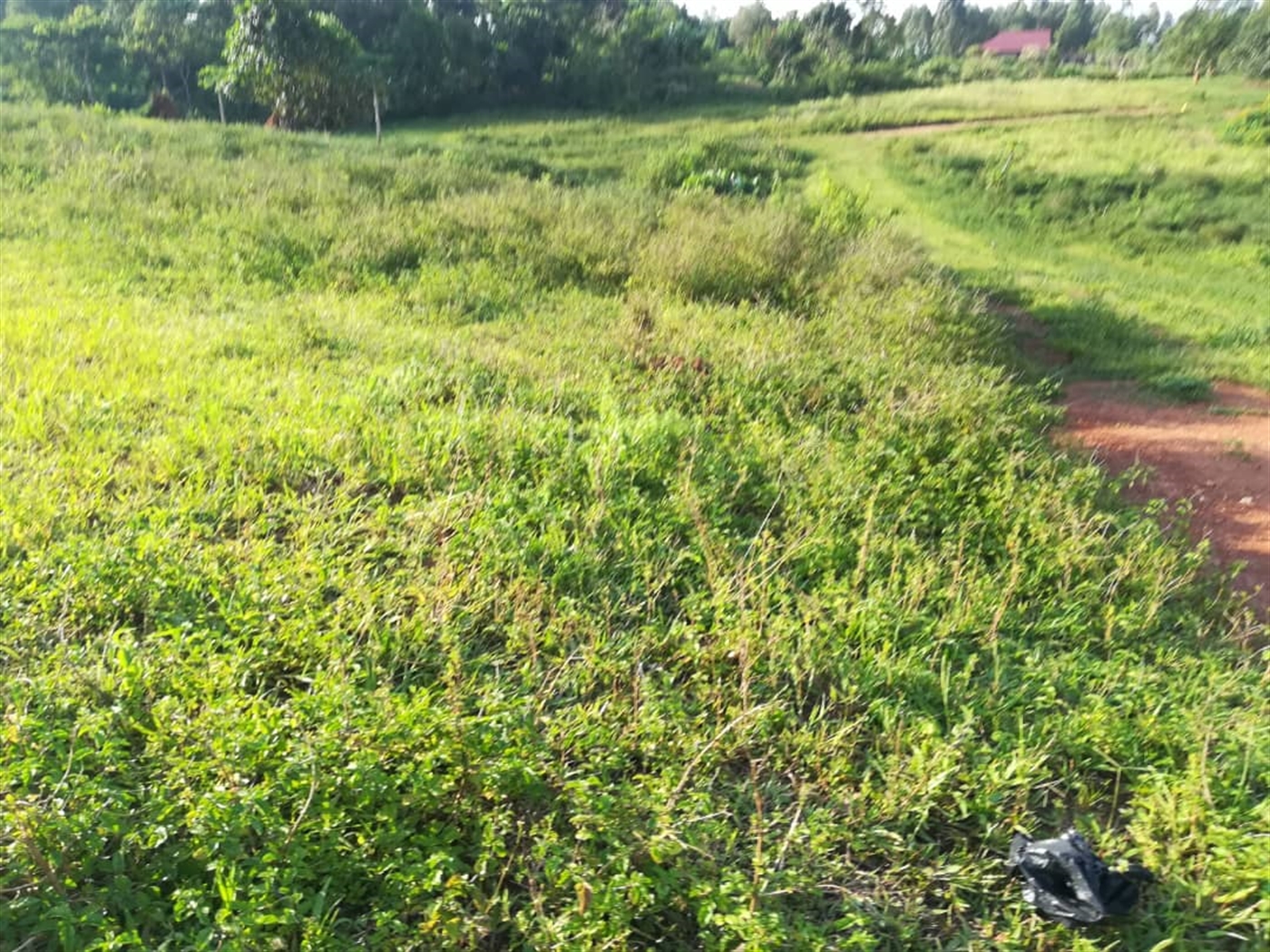 Residential Land for sale in Nakabago Mukono