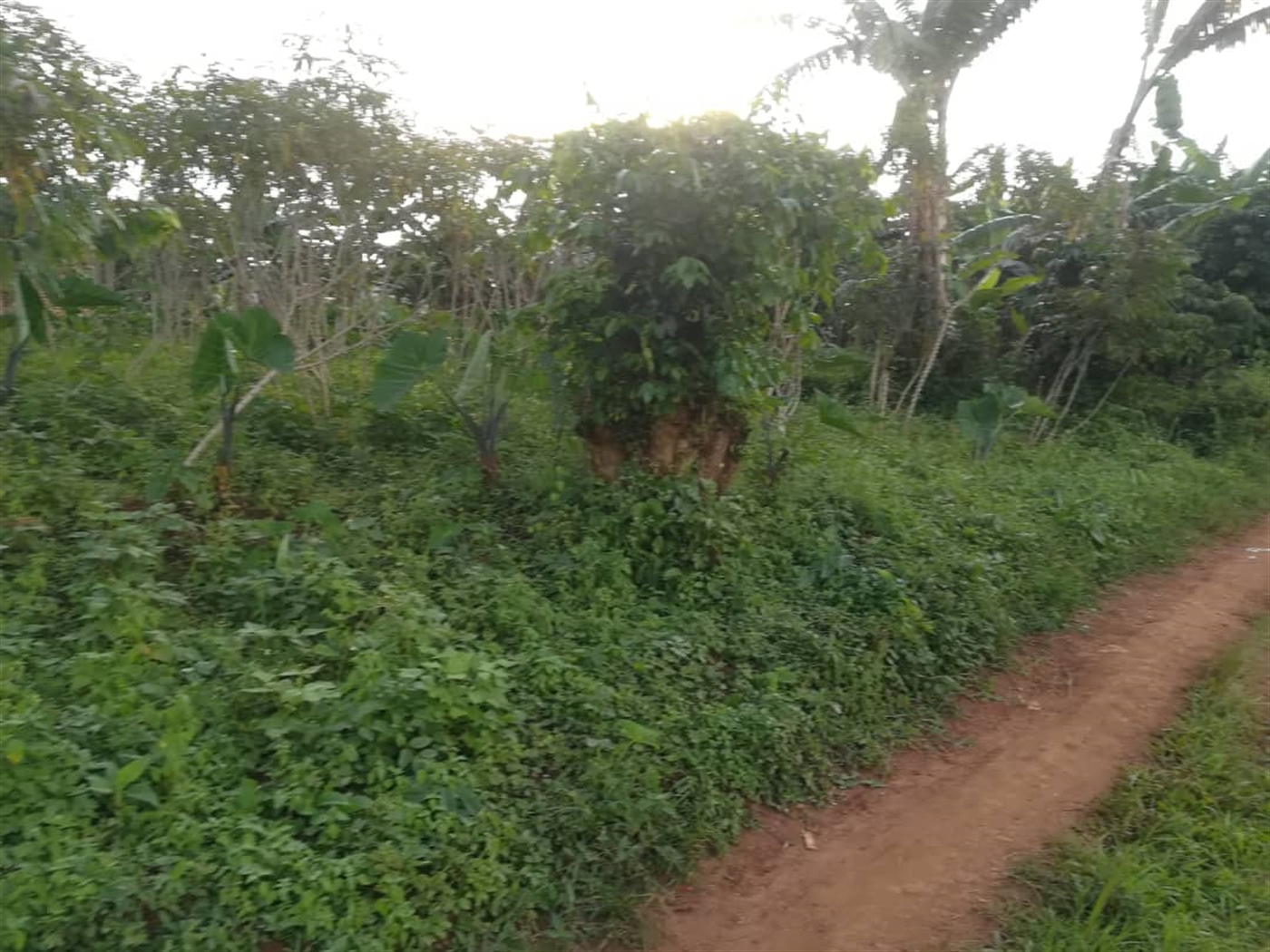 Residential Land for sale in Nakabago Mukono