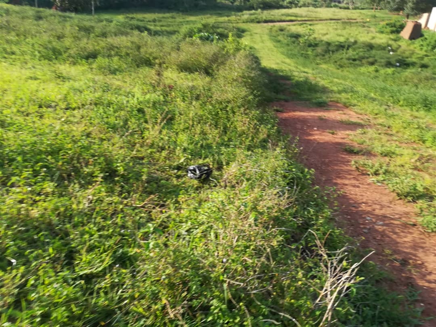 Residential Land for sale in Nakabago Mukono