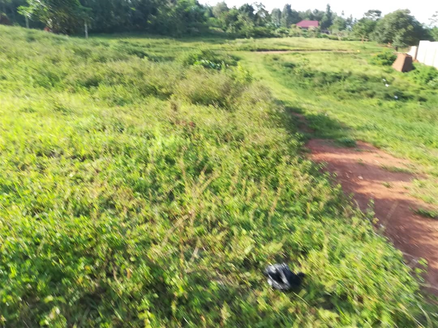 Residential Land for sale in Nakabago Mukono