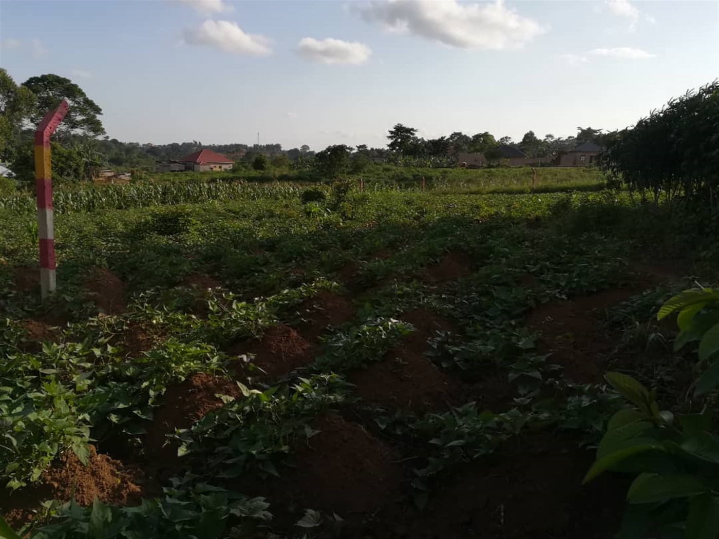 Residential Land for sale in Nakabago Mukono