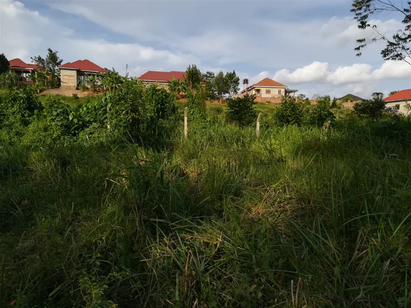 Residential Land for sale in Nakabago Mukono