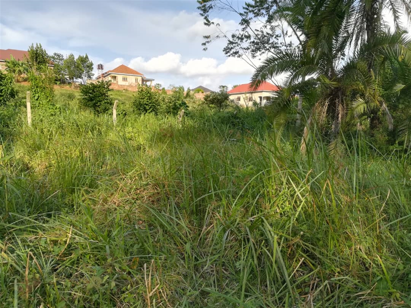 Residential Land for sale in Nakabago Mukono