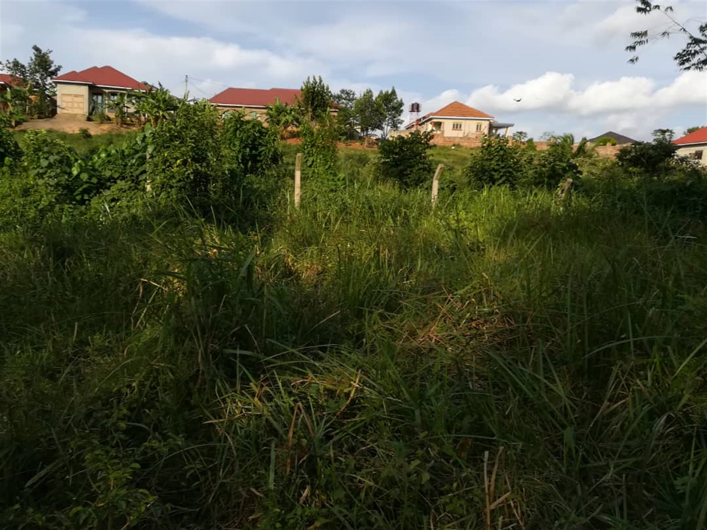 Residential Land for sale in Nakabago Mukono