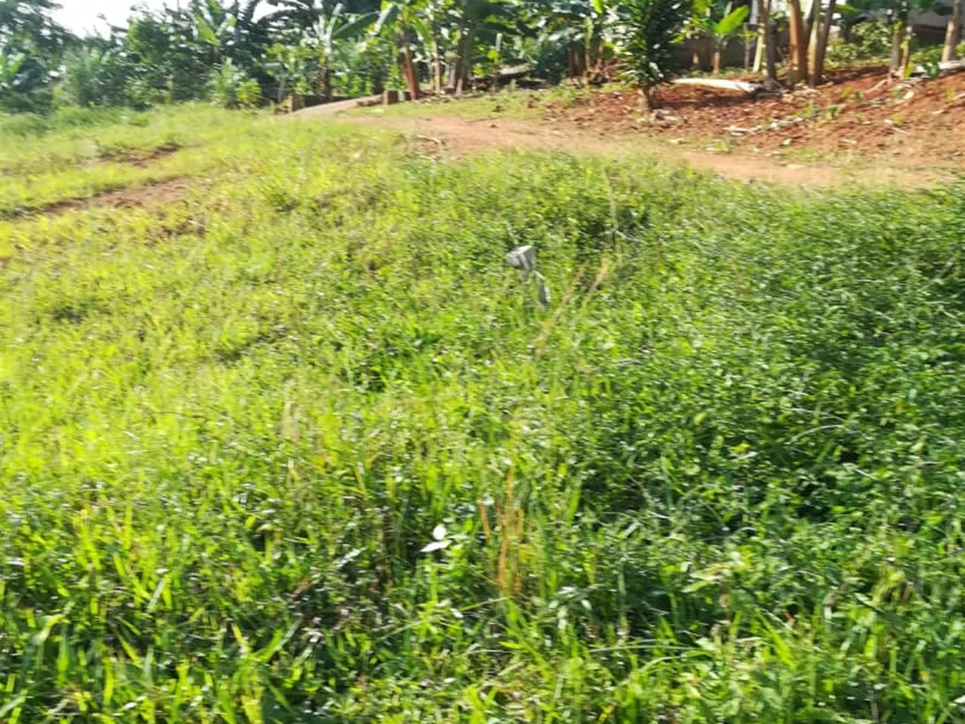 Residential Land for sale in Nakabago Mukono