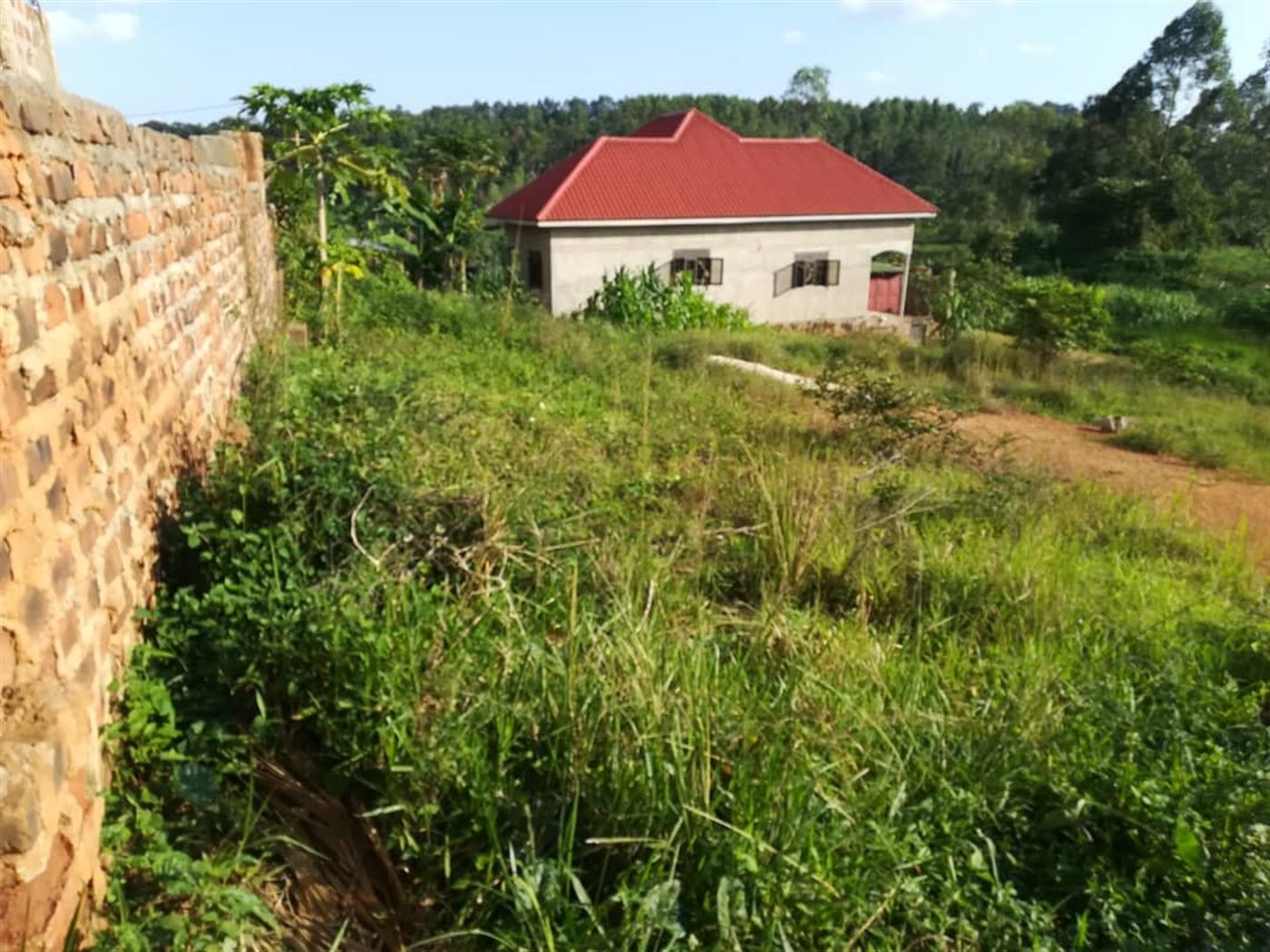 Residential Land for sale in Nakabago Mukono