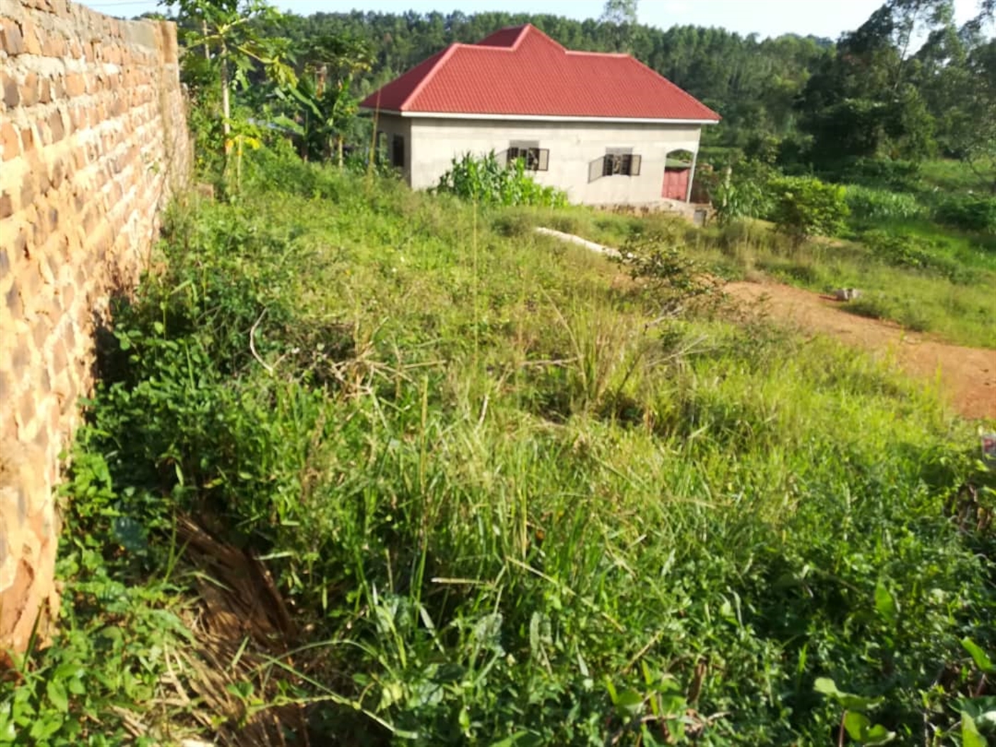 Residential Land for sale in Nakabago Mukono