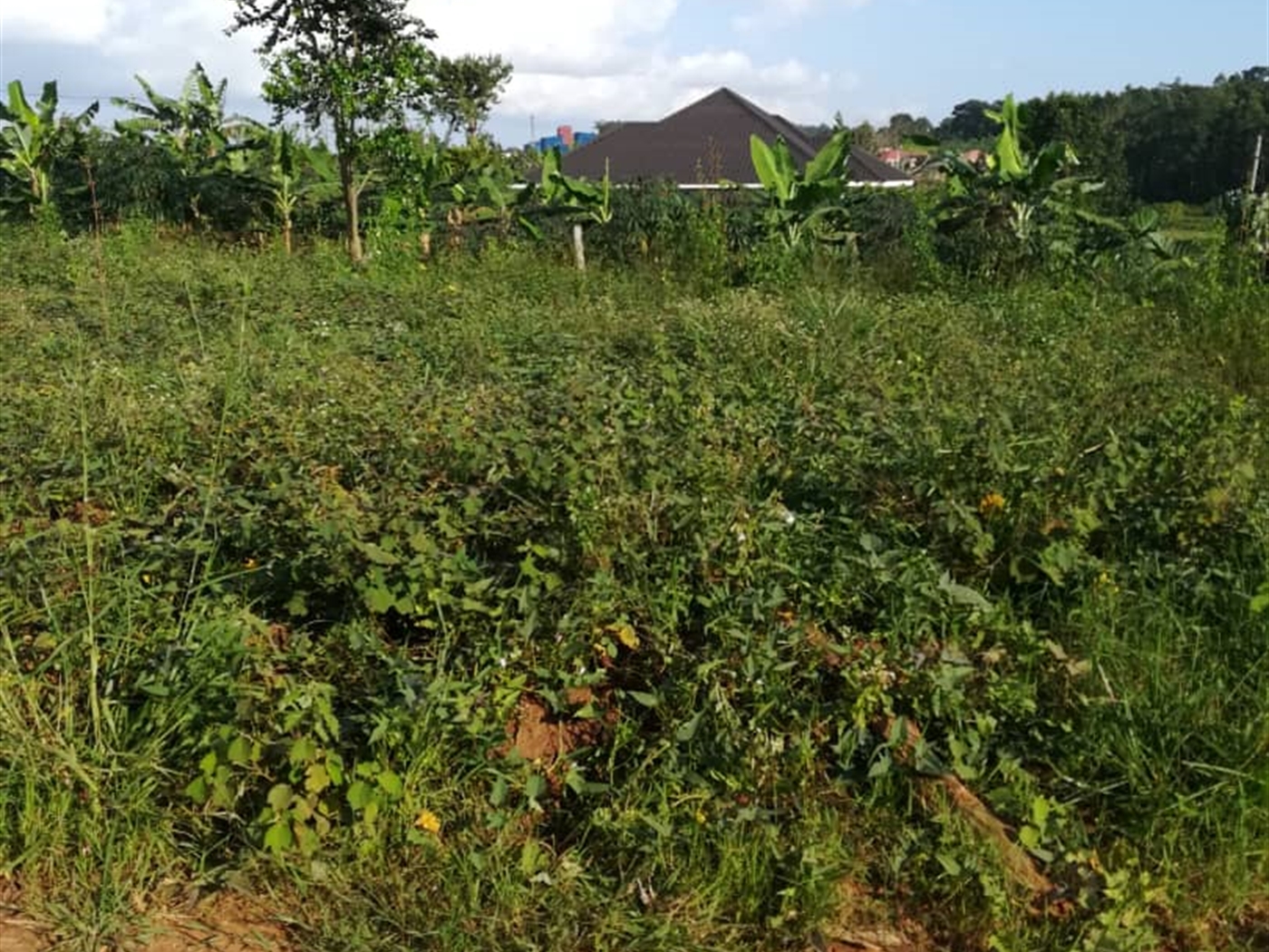 Residential Land for sale in Nakabago Mukono