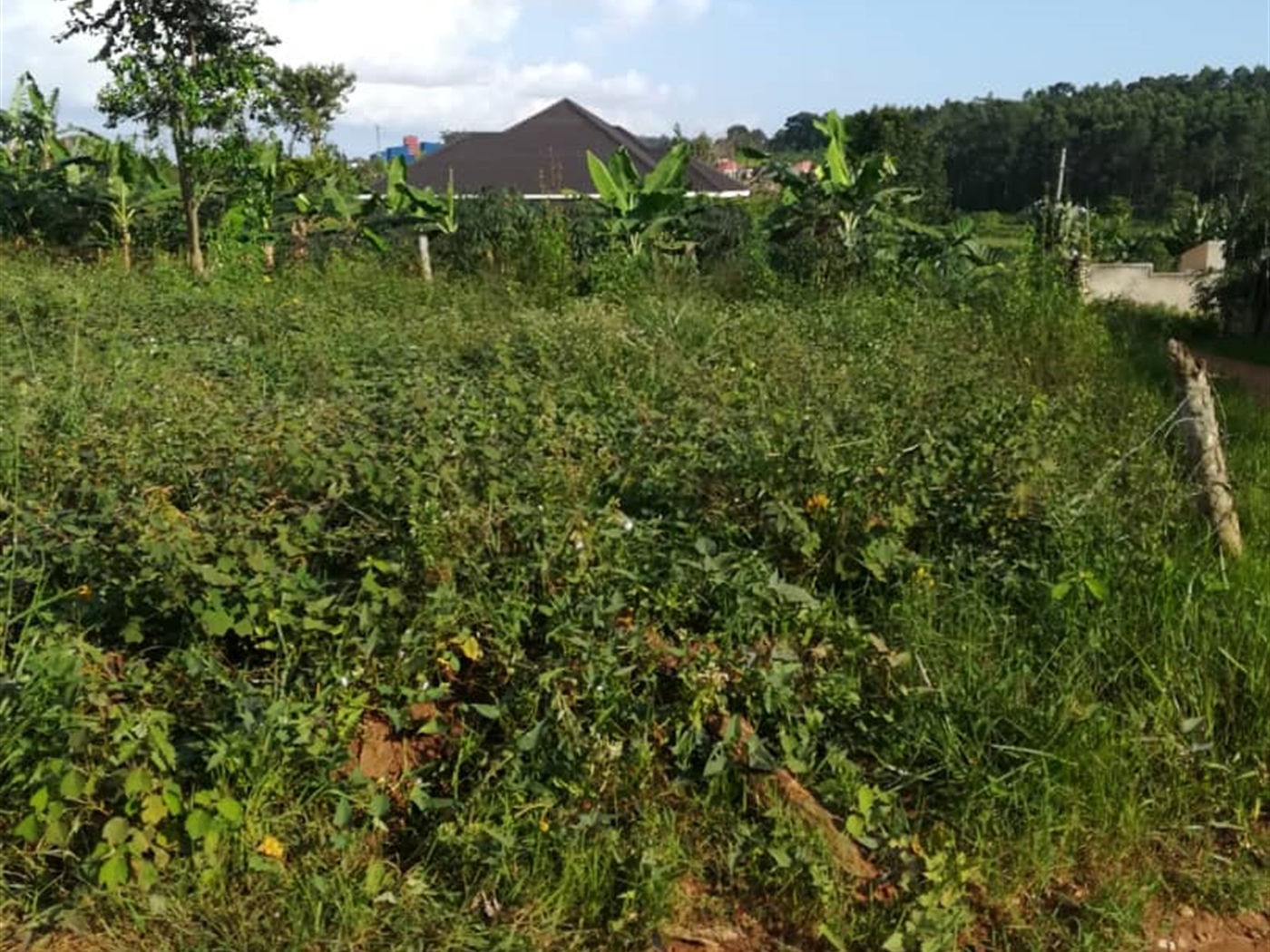 Residential Land for sale in Nakabago Mukono