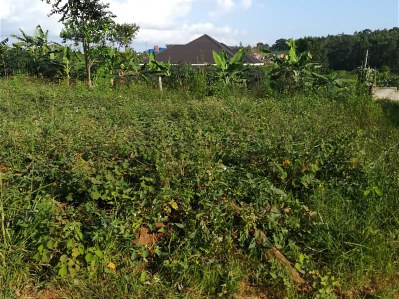 Residential Land for sale in Nakabago Mukono