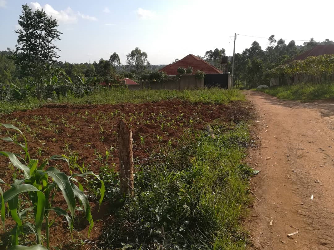 Residential Land for sale in Nakabago Mukono