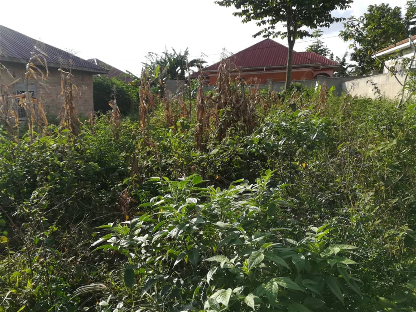 Residential Land for sale in Nakabago Mukono