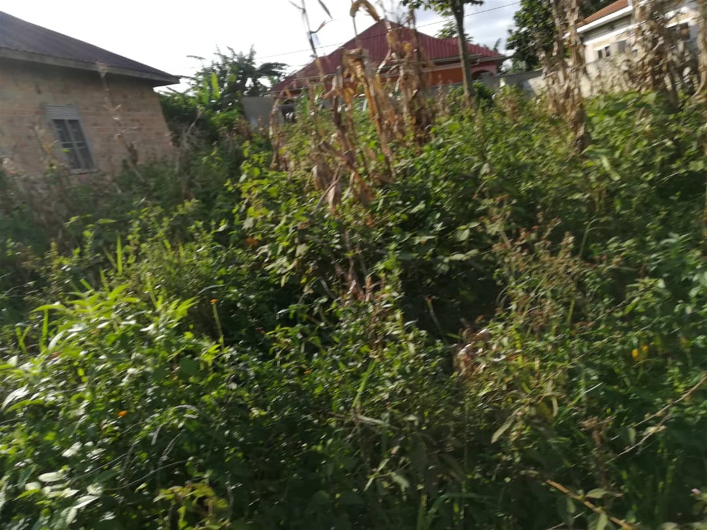 Residential Land for sale in Nakabago Mukono