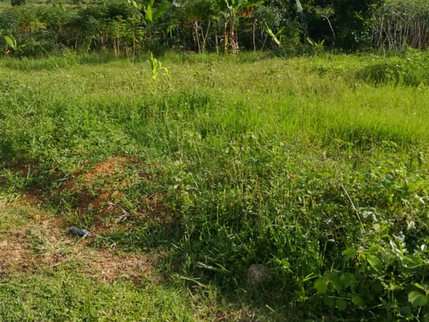 Residential Land for sale in Ntawo Mukono