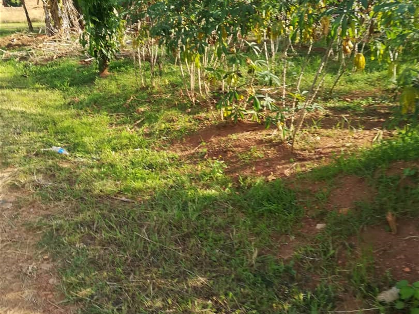 Residential Land for sale in Ntawo Mukono