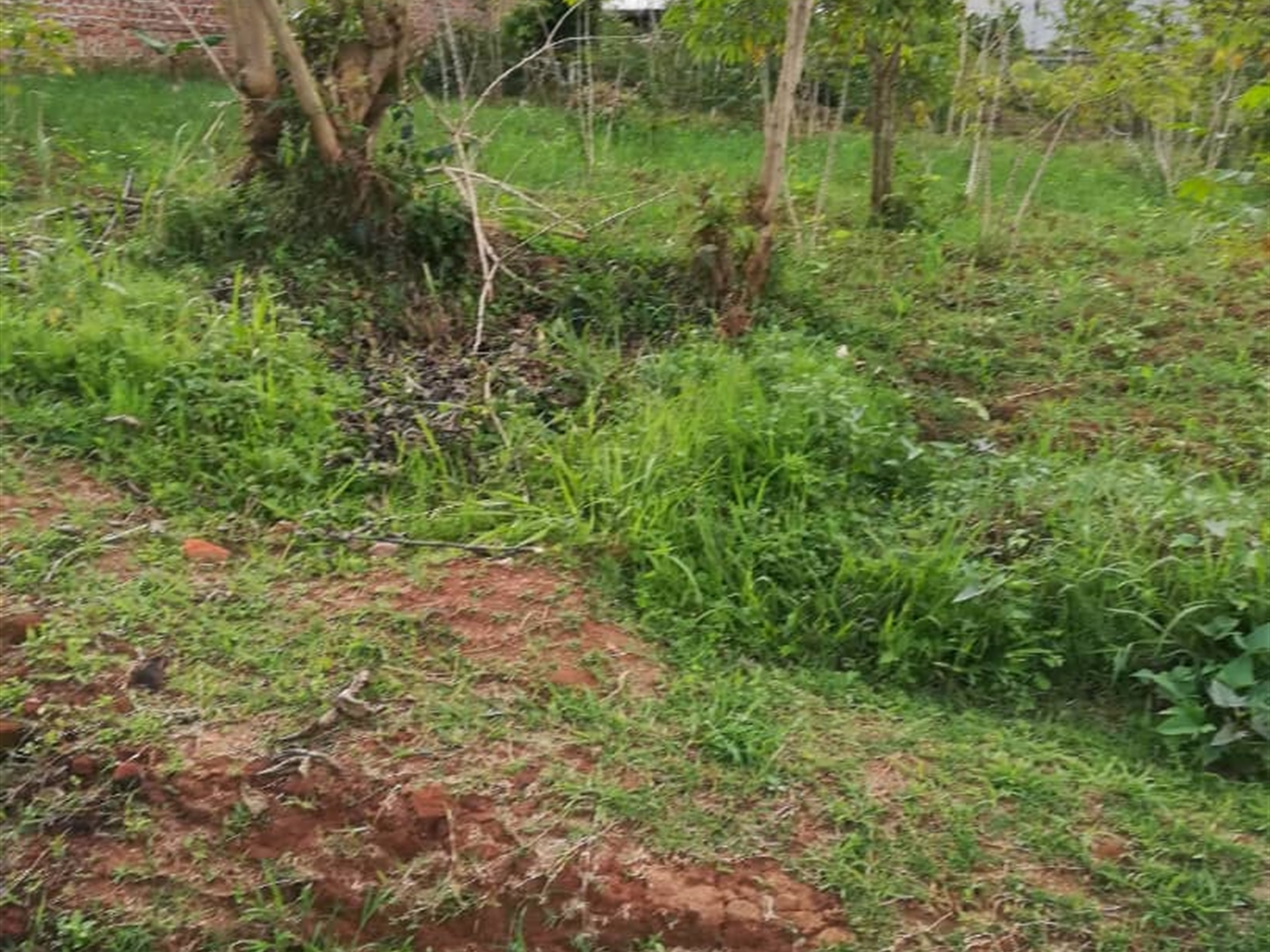 Residential Land for sale in Ntawo Mukono