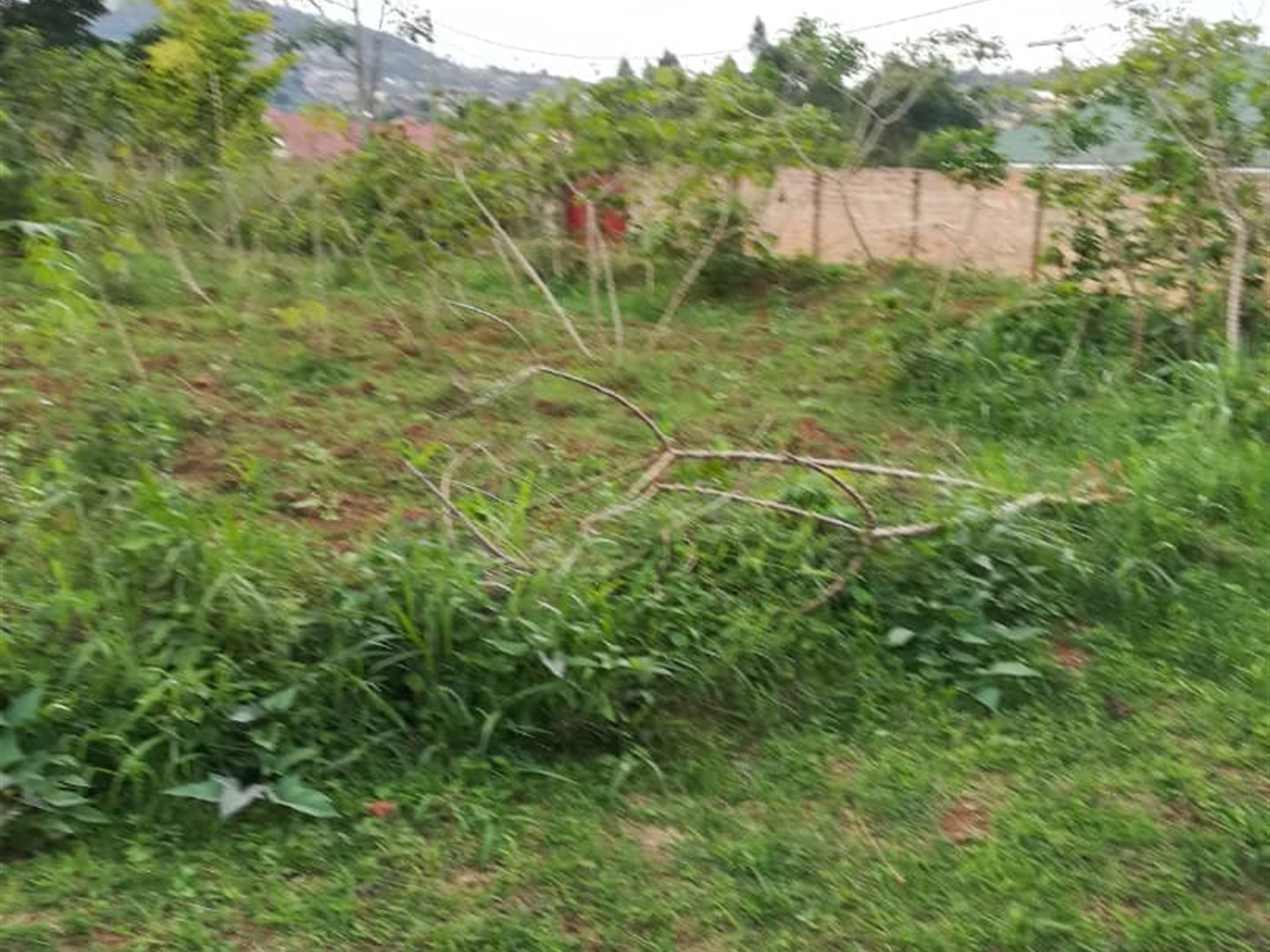 Residential Land for sale in Ntawo Mukono