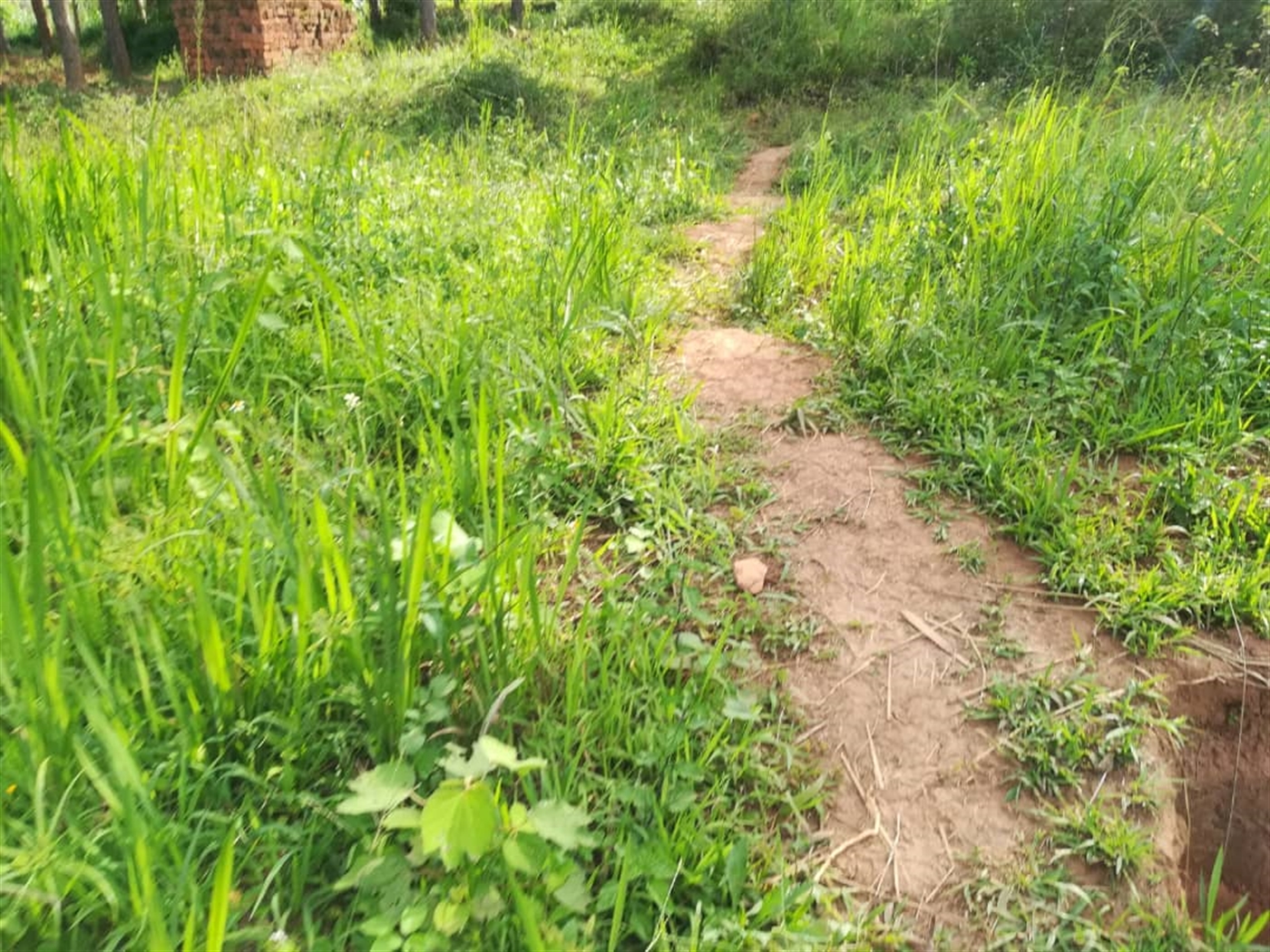 Residential Land for sale in Ntawo Mukono