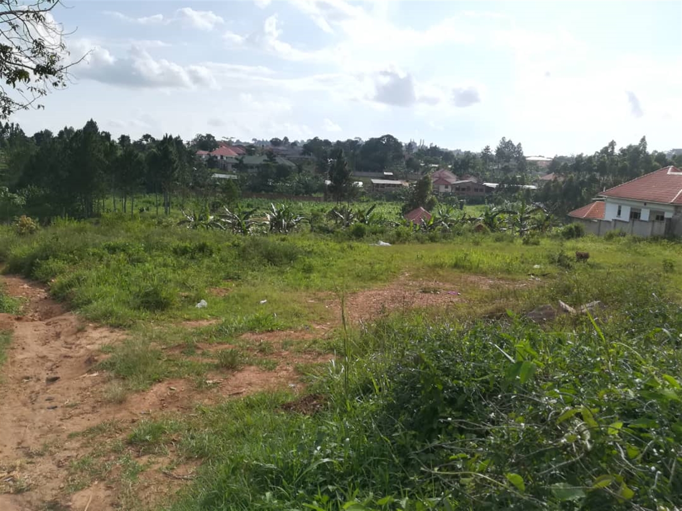 Residential Land for sale in Ntawo Mukono