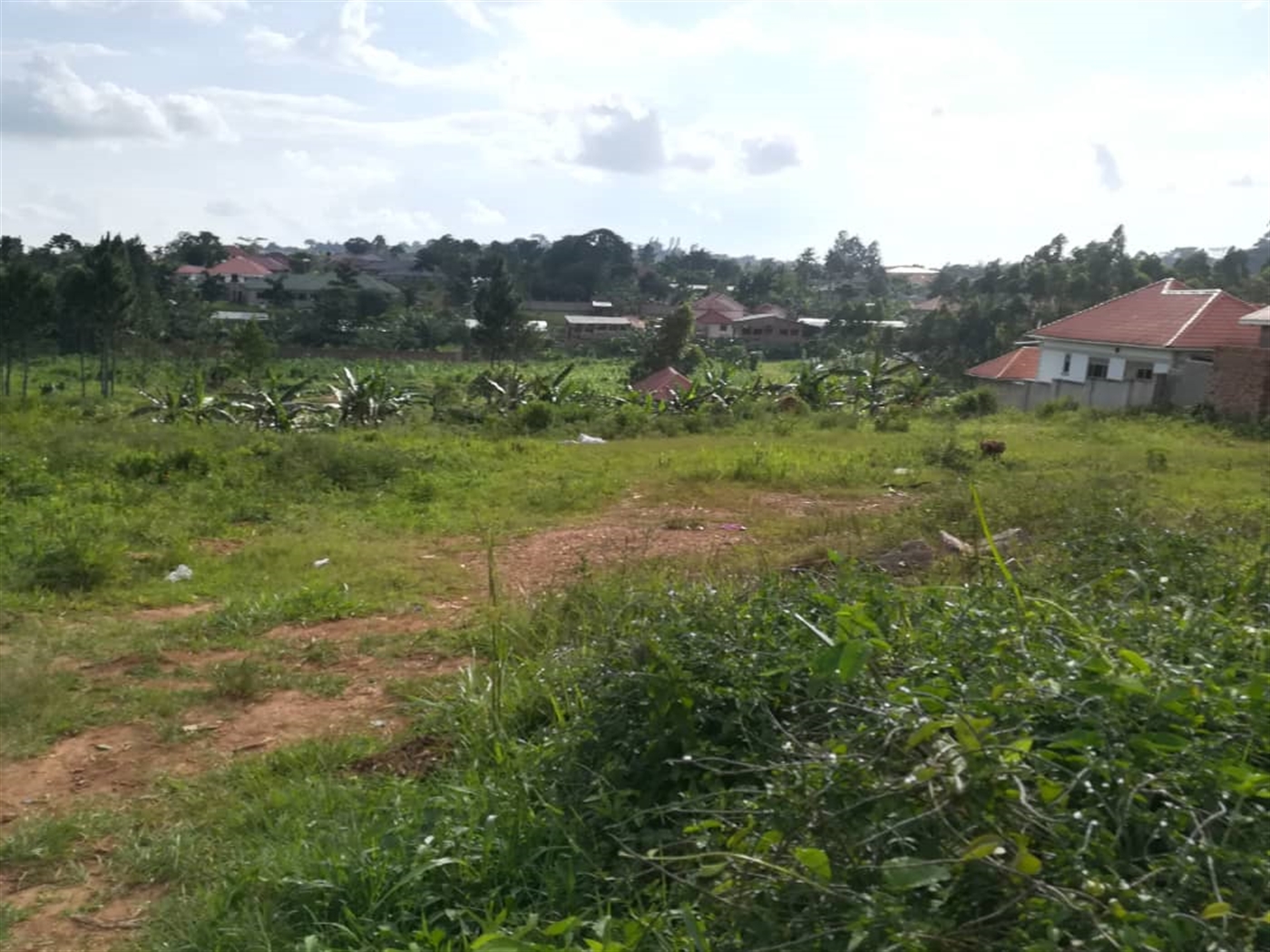 Residential Land for sale in Ntawo Mukono