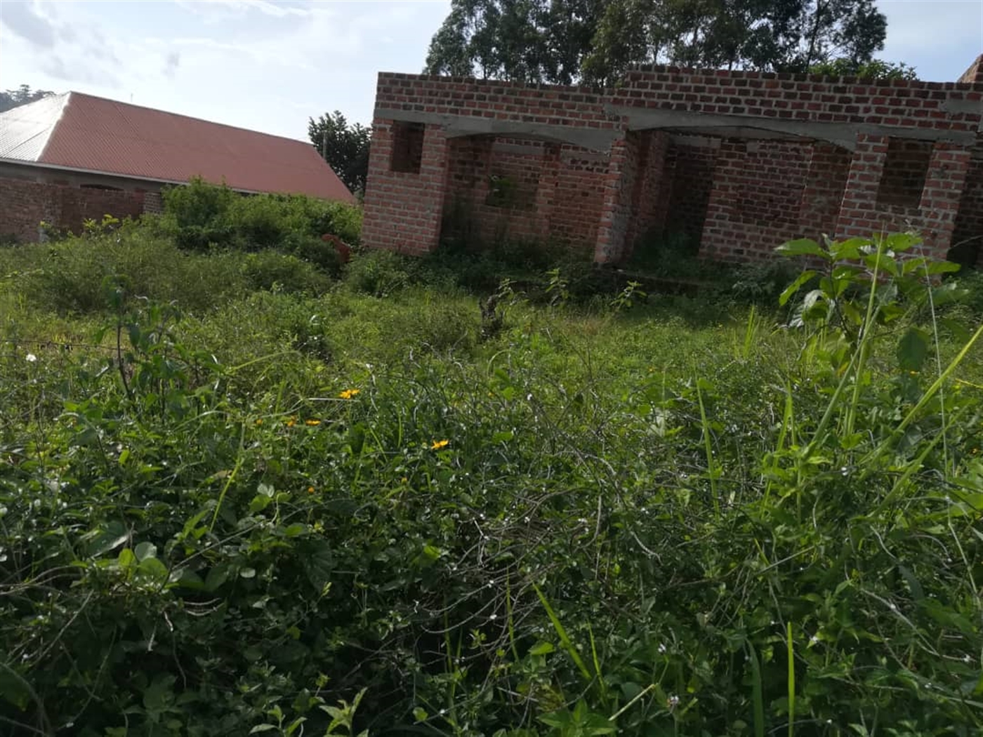 Residential Land for sale in Ntawo Mukono