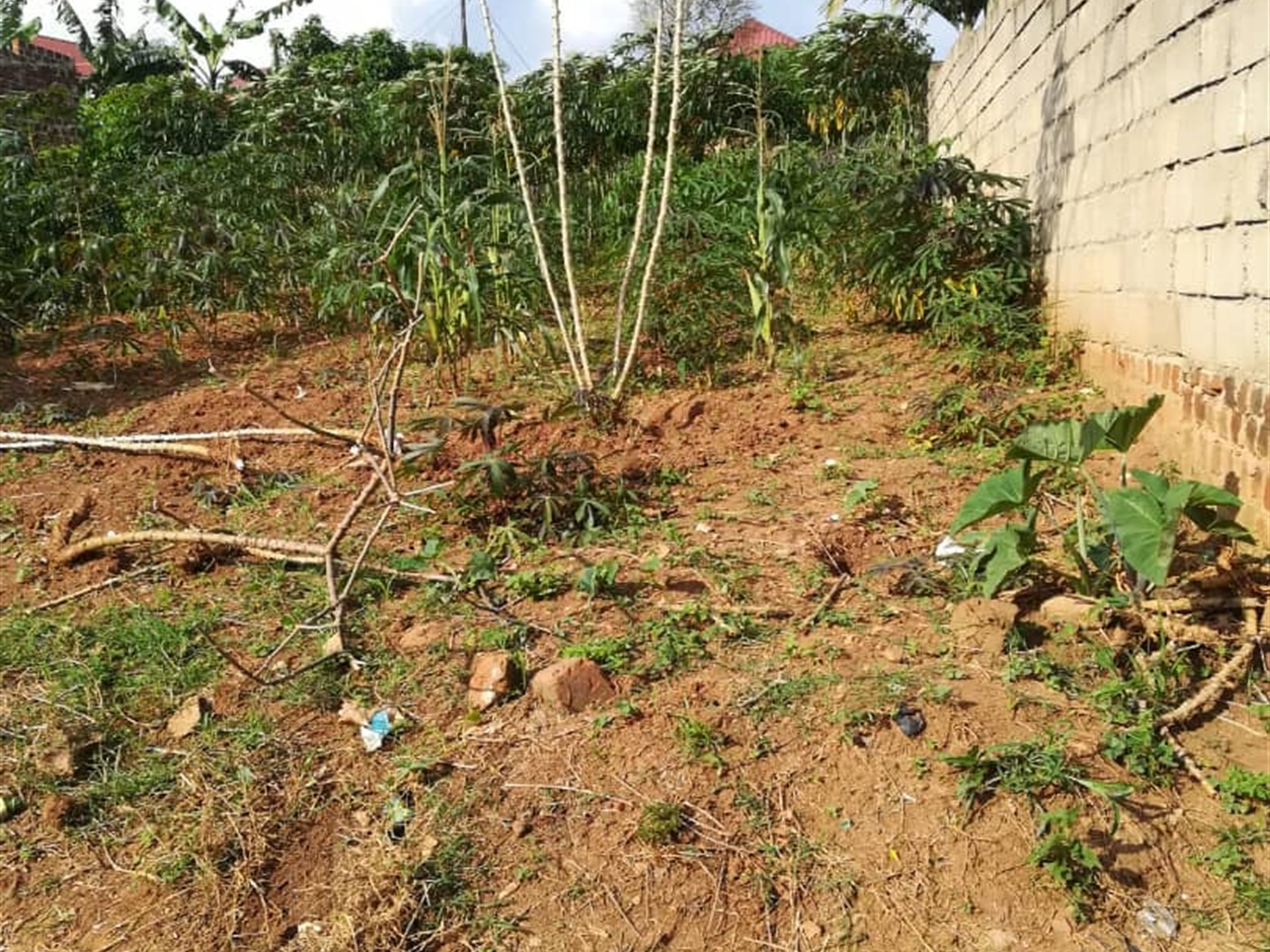 Residential Land for sale in Ntawo Mukono