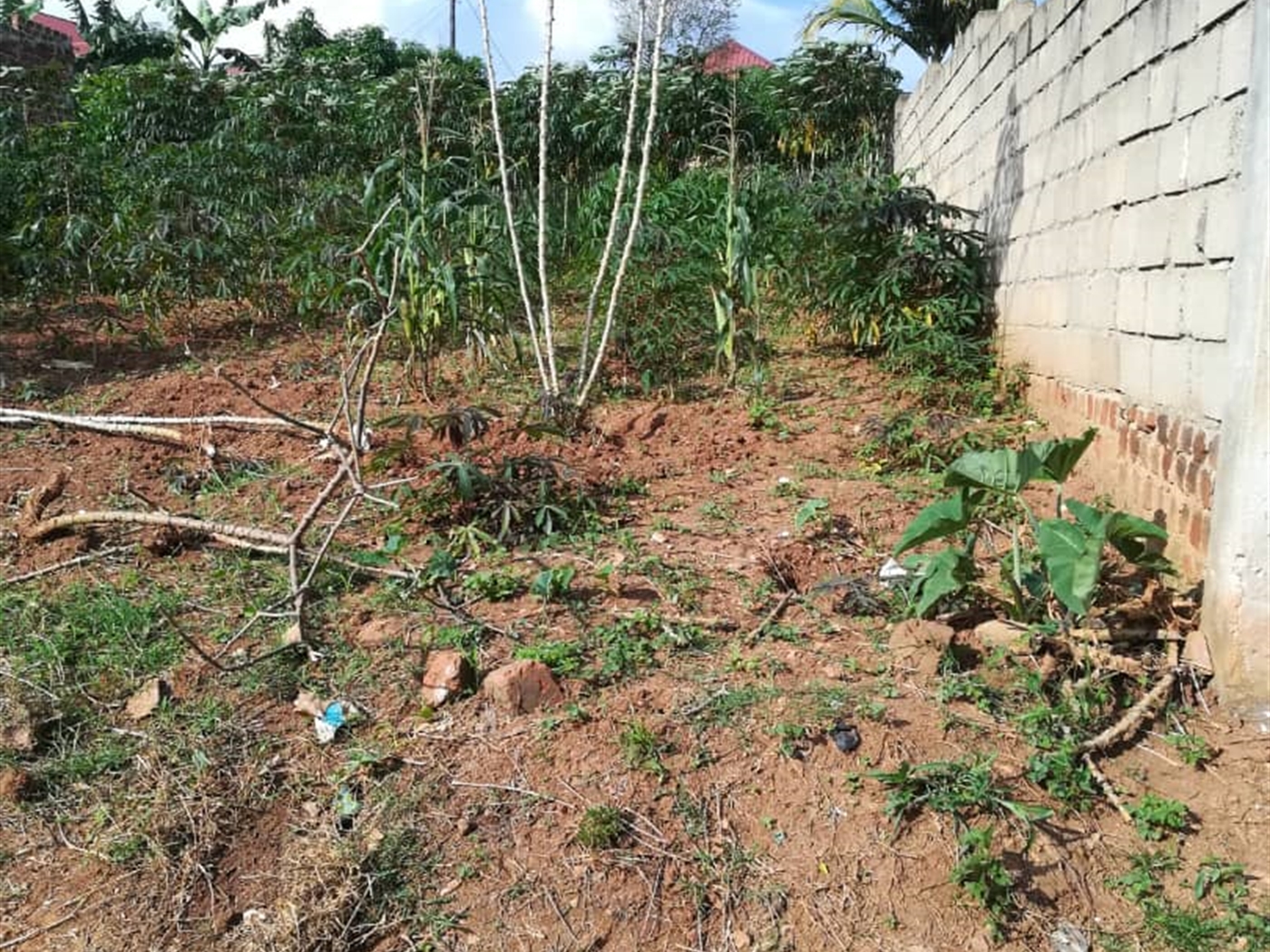 Residential Land for sale in Ntawo Mukono