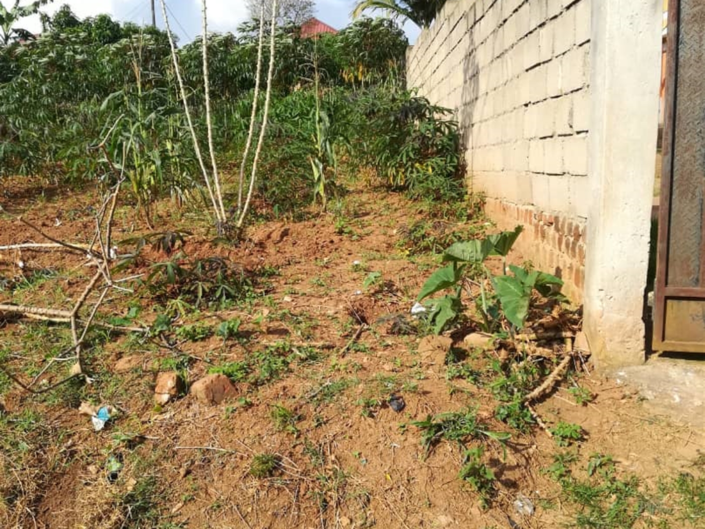 Residential Land for sale in Ntawo Mukono