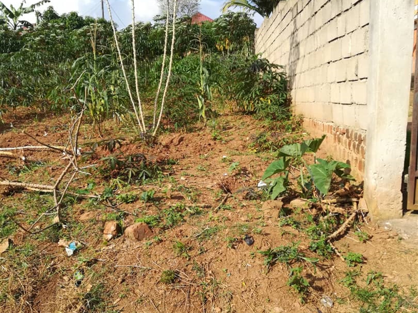 Residential Land for sale in Ntawo Mukono