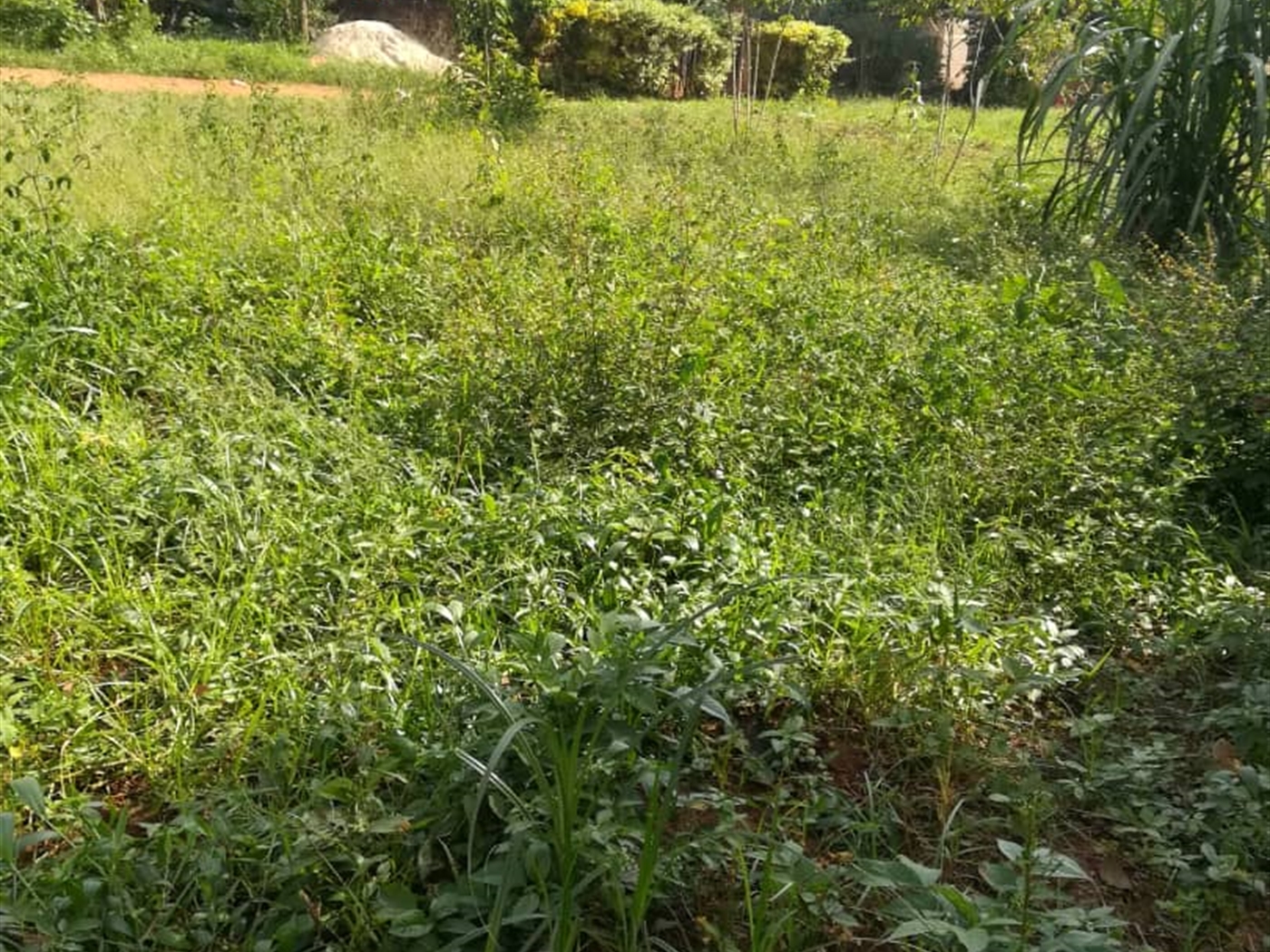 Residential Land for sale in Ntawo Mukono