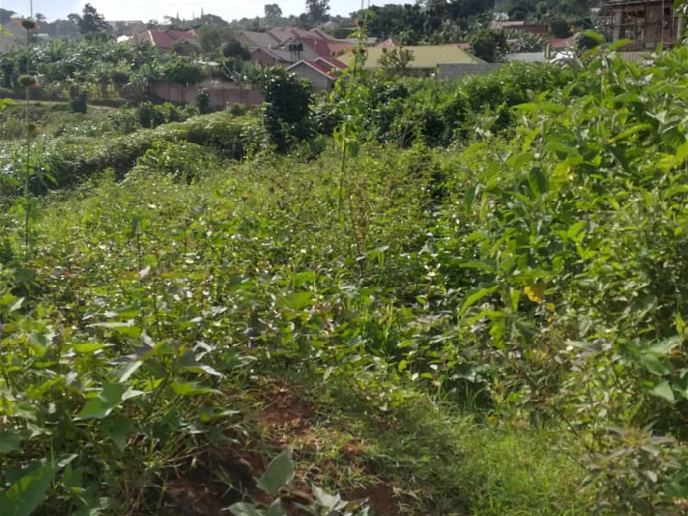 Residential Land for sale in Ntawo Mukono