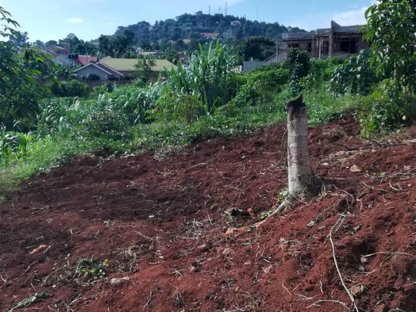 Residential Land for sale in Ntawo Mukono