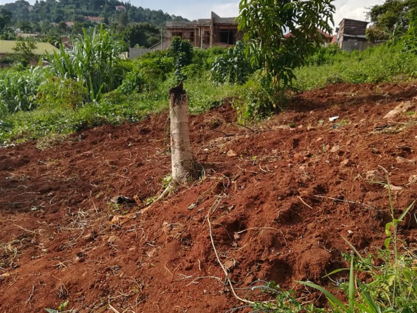 Residential Land for sale in Ntawo Mukono