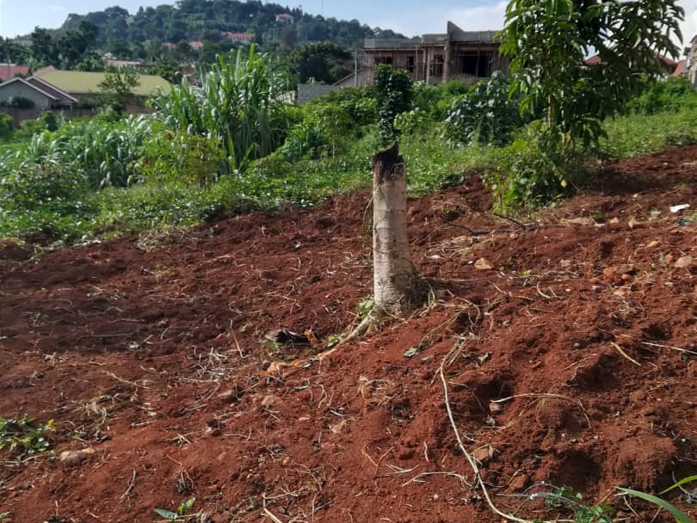 Residential Land for sale in Ntawo Mukono