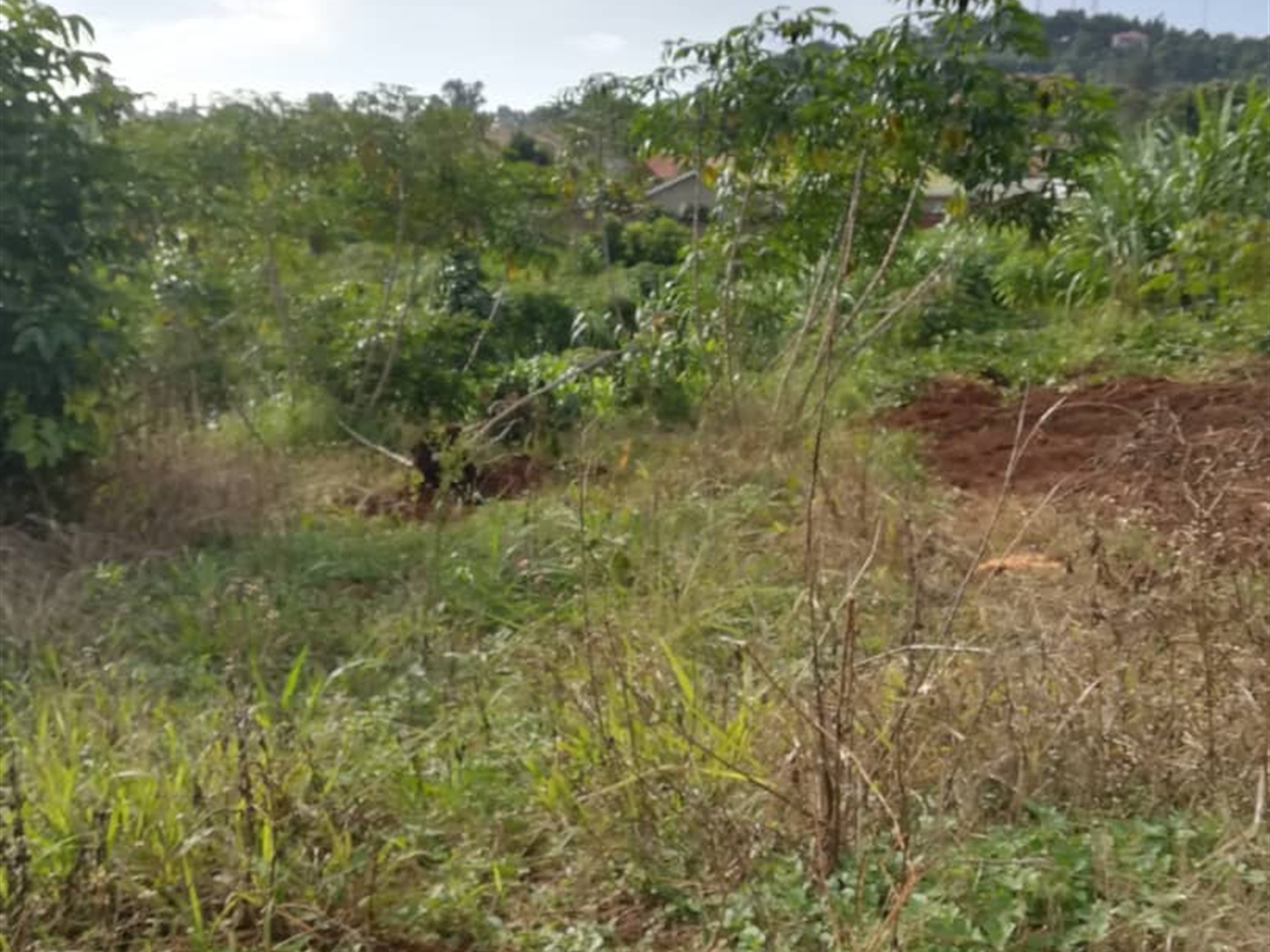 Residential Land for sale in Nabuuta Mukono