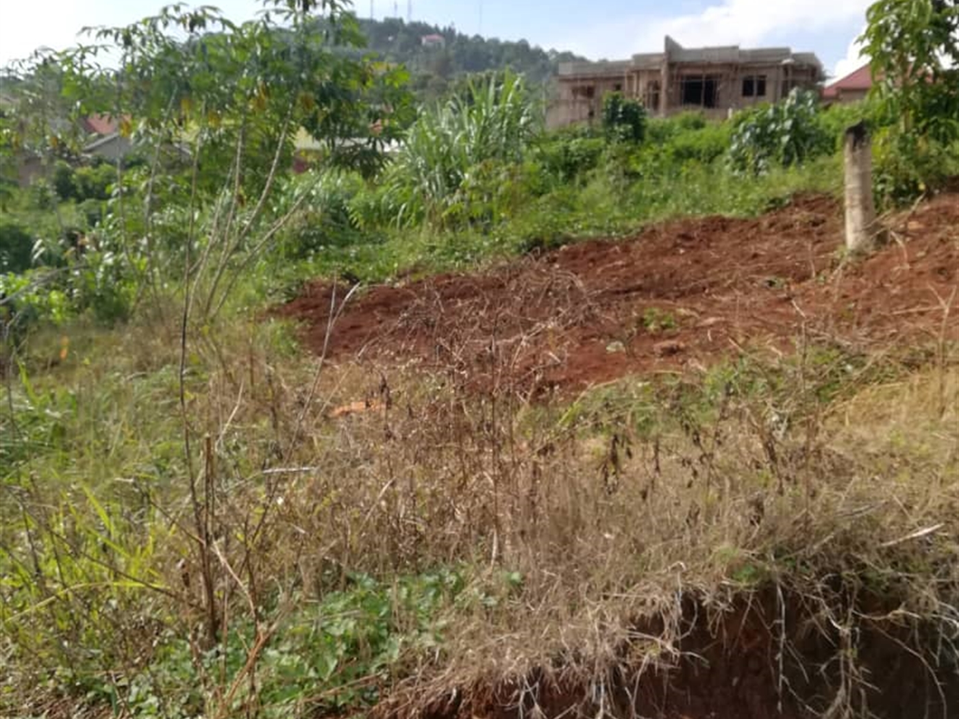 Residential Land for sale in Nabuuta Mukono