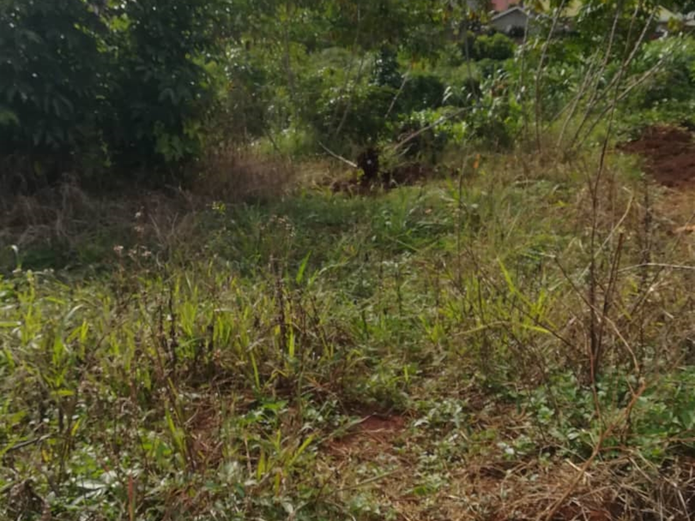 Residential Land for sale in Nabuuta Mukono