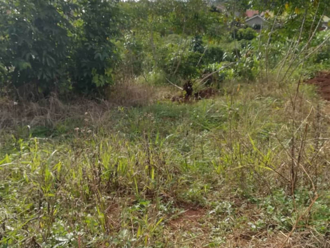 Residential Land for sale in Nabuuta Mukono