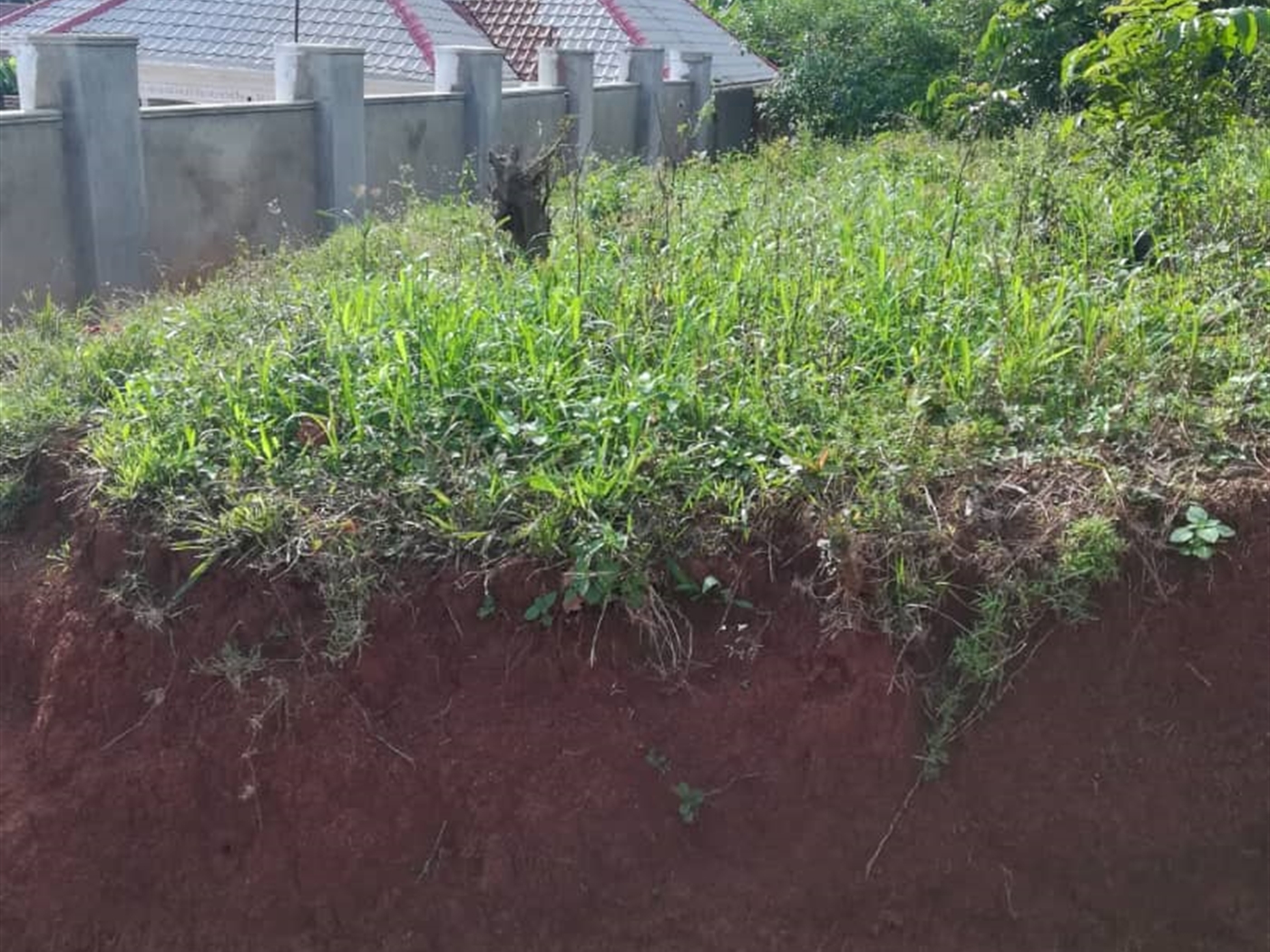 Residential Land for sale in Nabuuta Mukono