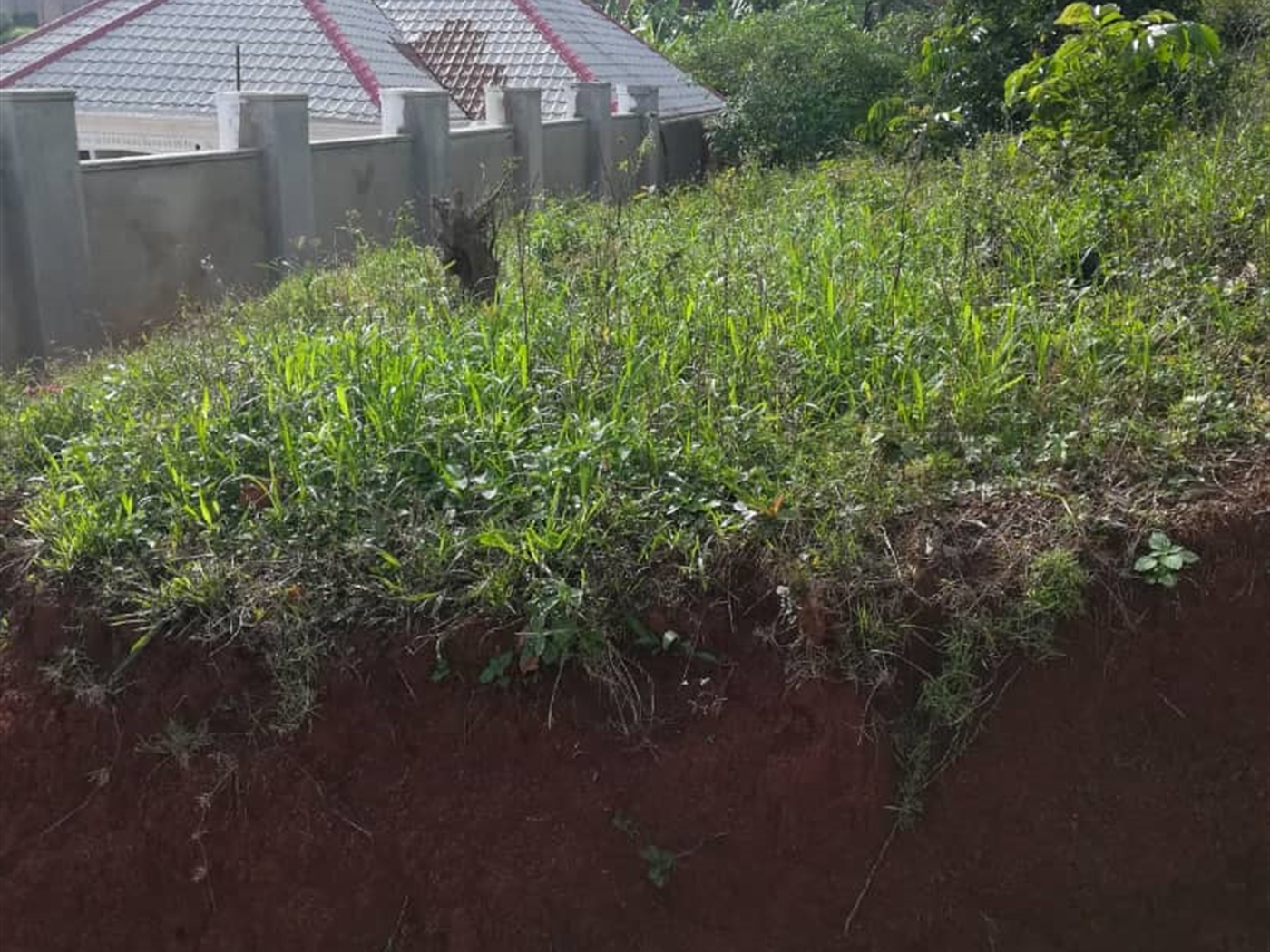 Residential Land for sale in Nabuuta Mukono